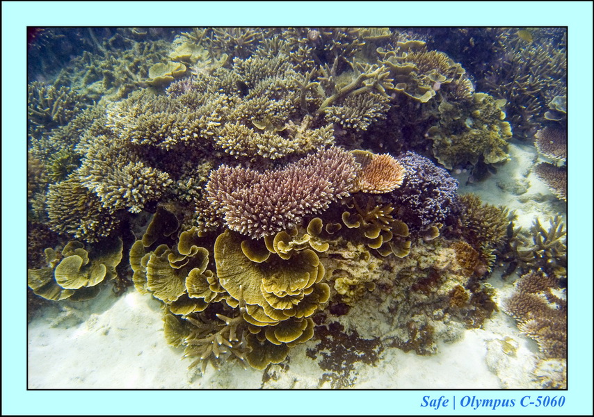 2008 - 07 - Perhentian - 075